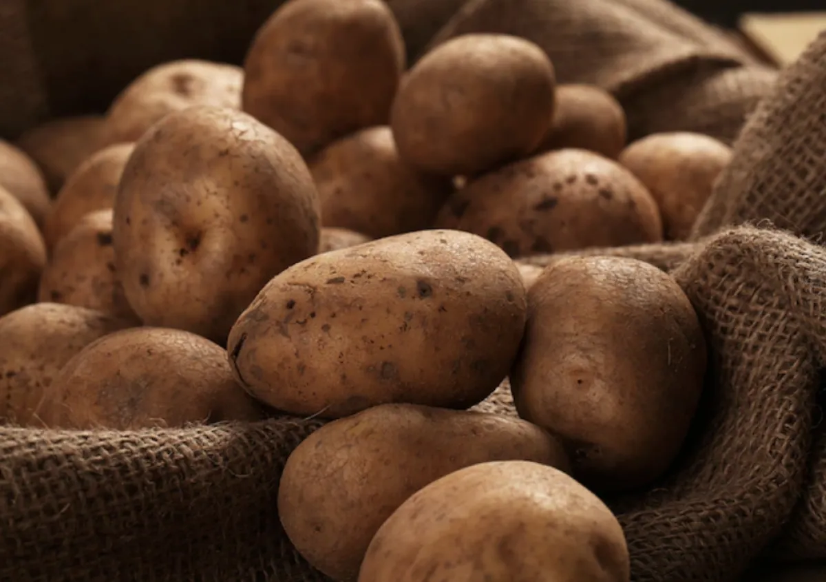 البطاطس