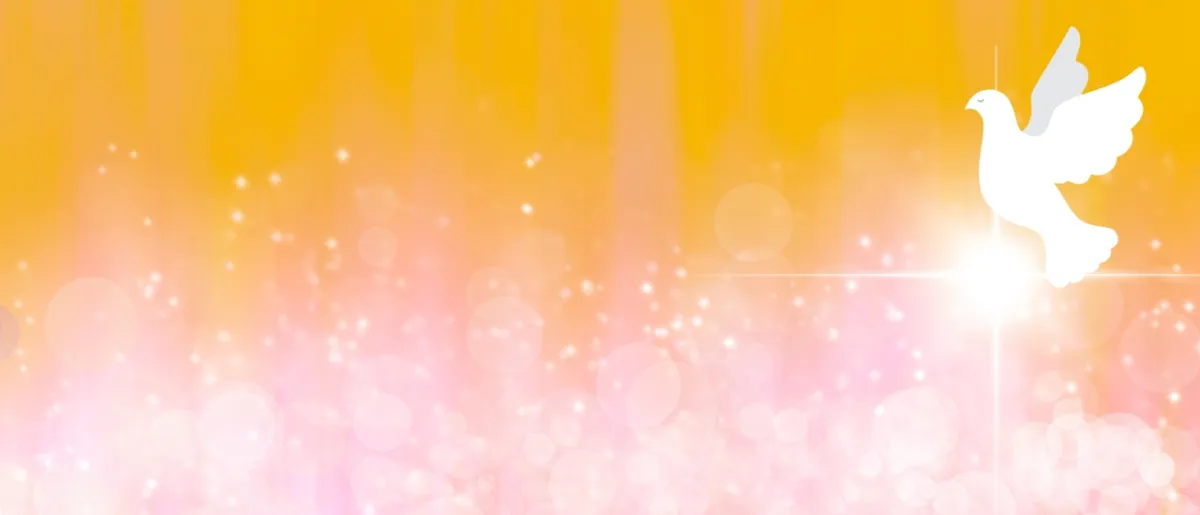 صورة تعبيرية عن حمام المولود