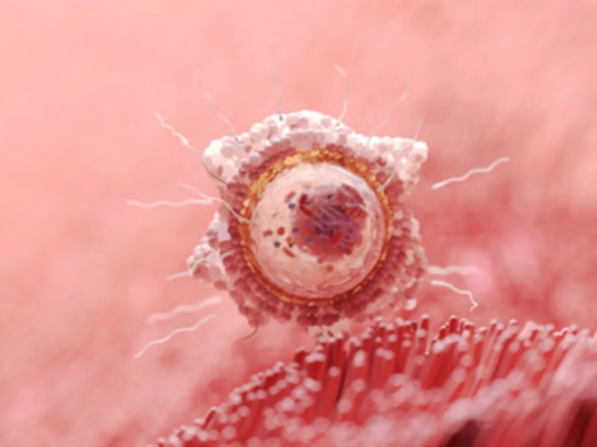 صورة تعبر عن حصول الطفل على الصفات من والديه