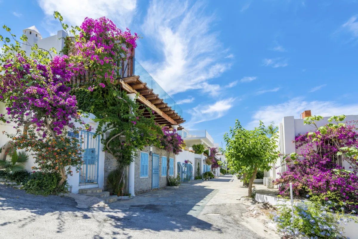 المدينة القديمة 