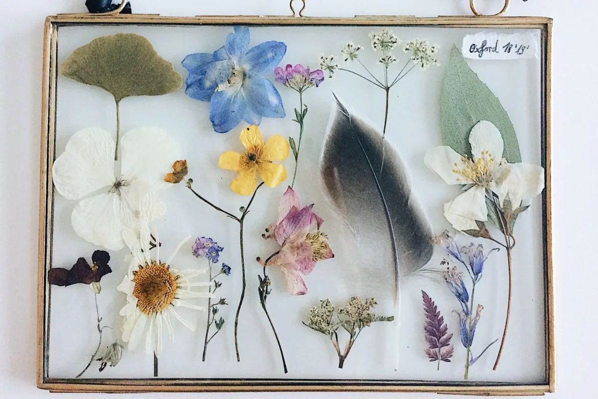 ماهو فن الريزن؟