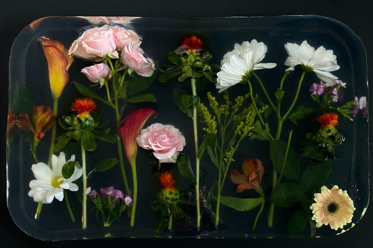 ماهو فن الريزن؟