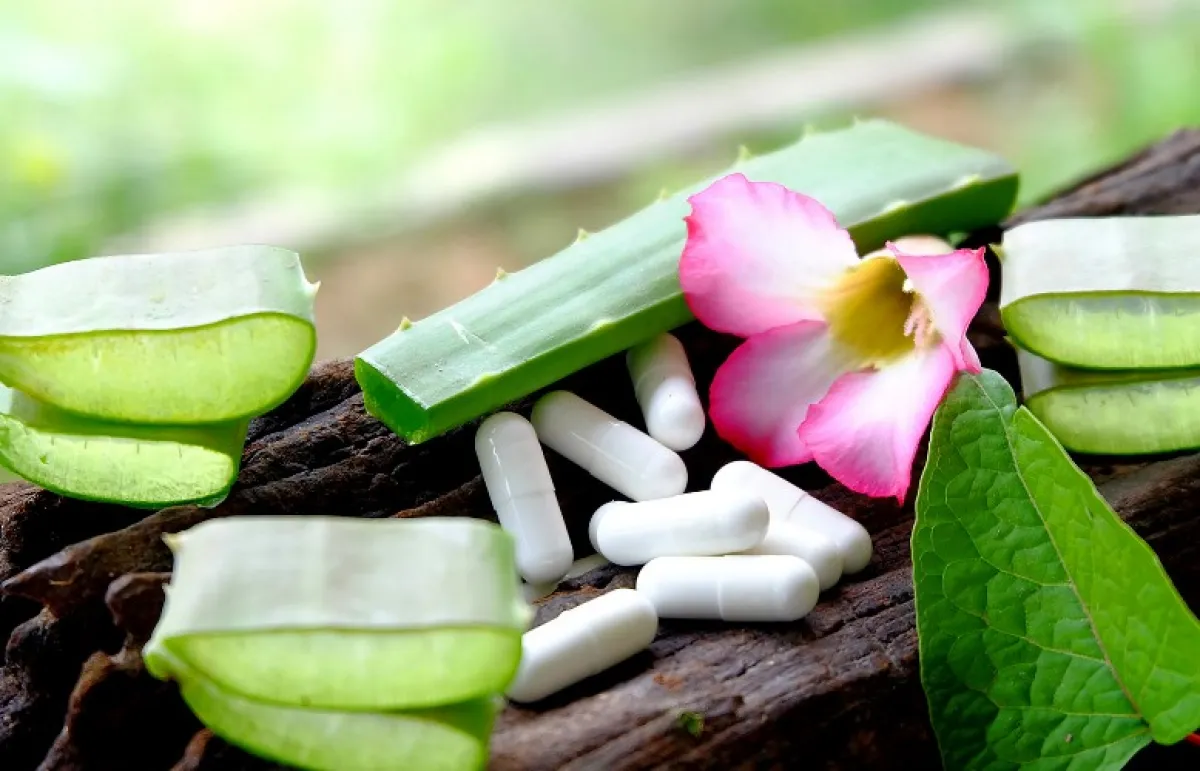 فوائد صحية منوّعة لحبوب الصبار