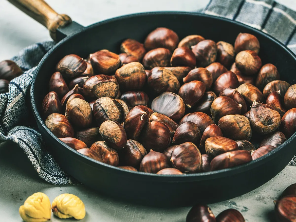 صورة للكستناء