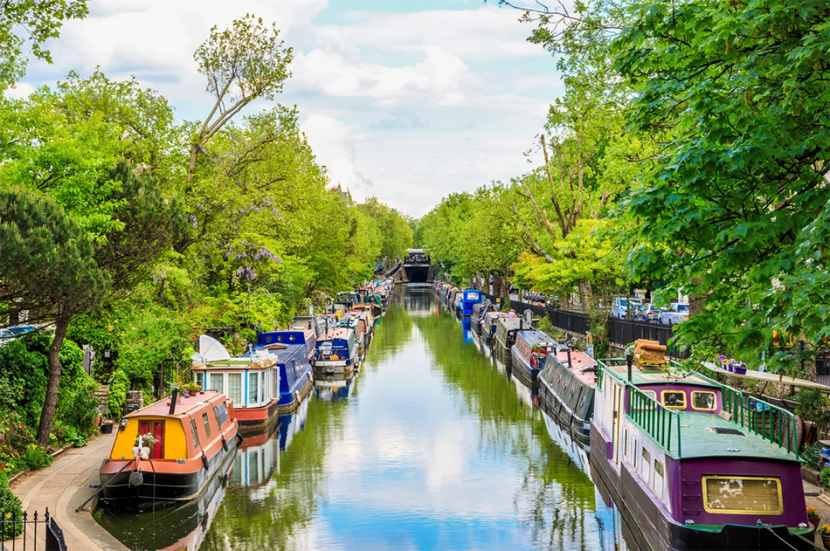 لقطة لـ «ليتل فينيس» في لندن