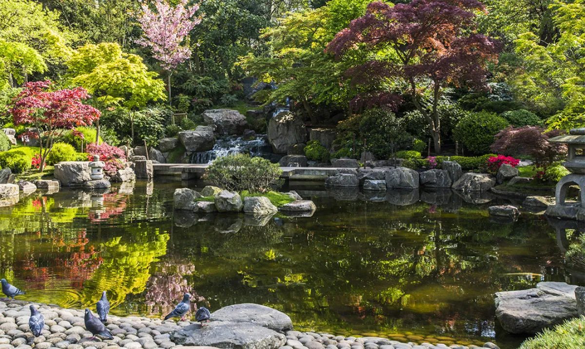 جانب من حديقة «كيوتو»