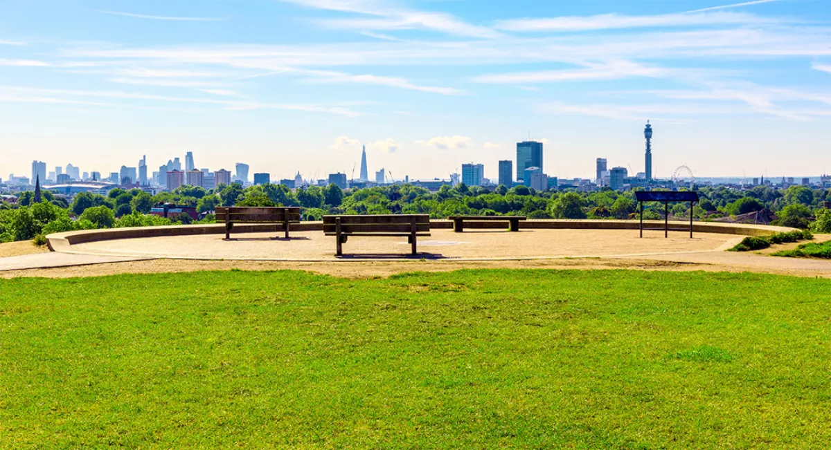 تلّة «بريمروز»