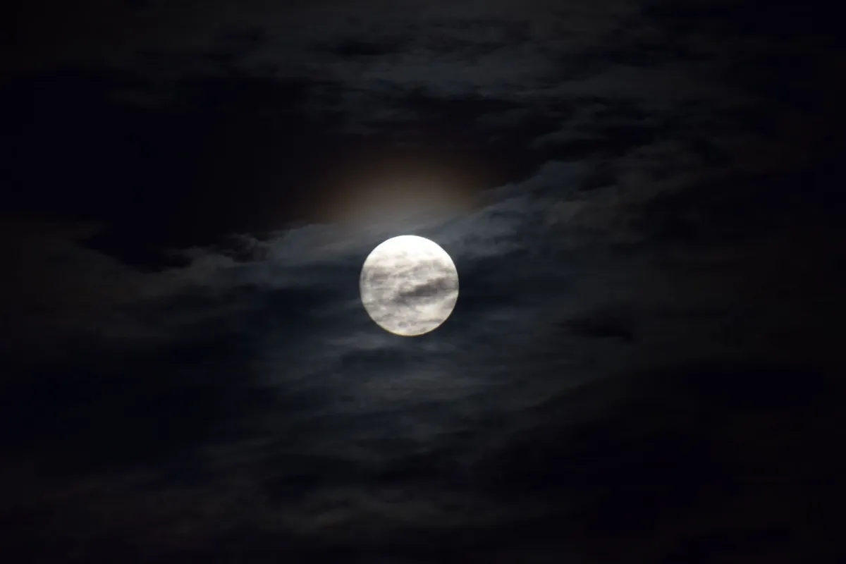 كيف حاور الشعراء القمر؟