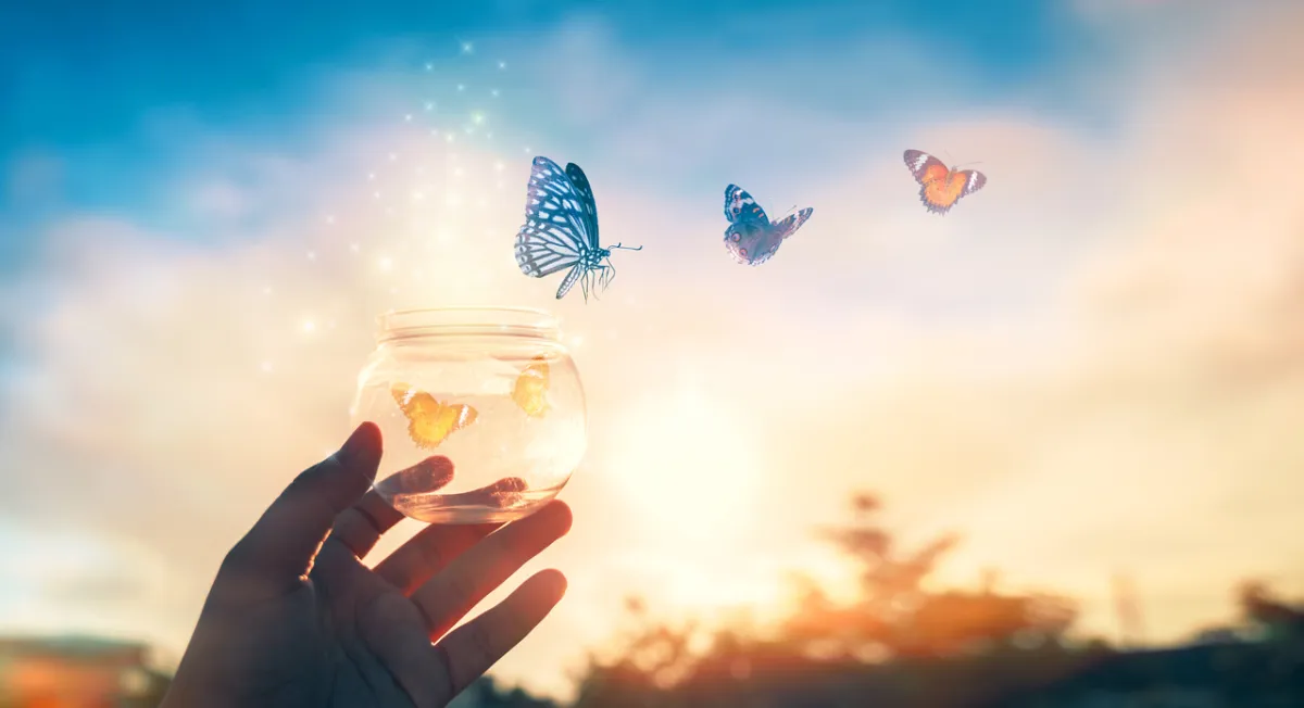 صورة تعبيرية عن الرقة