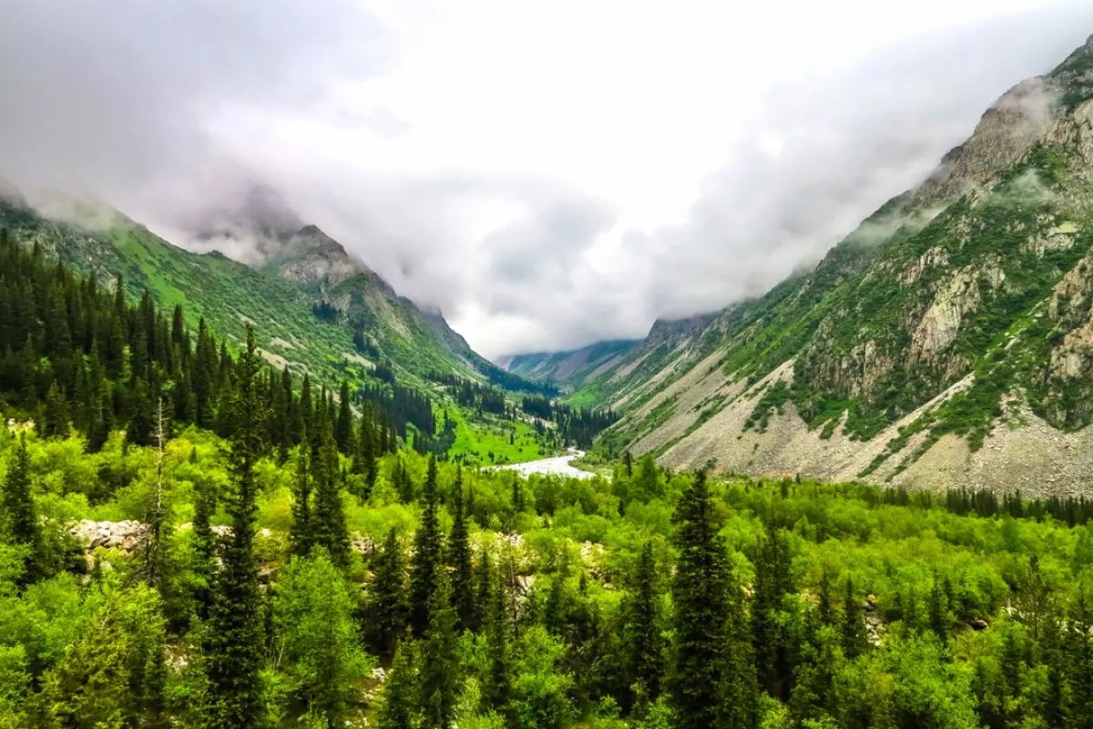 حديقة علاء أرتشا الوطنية 