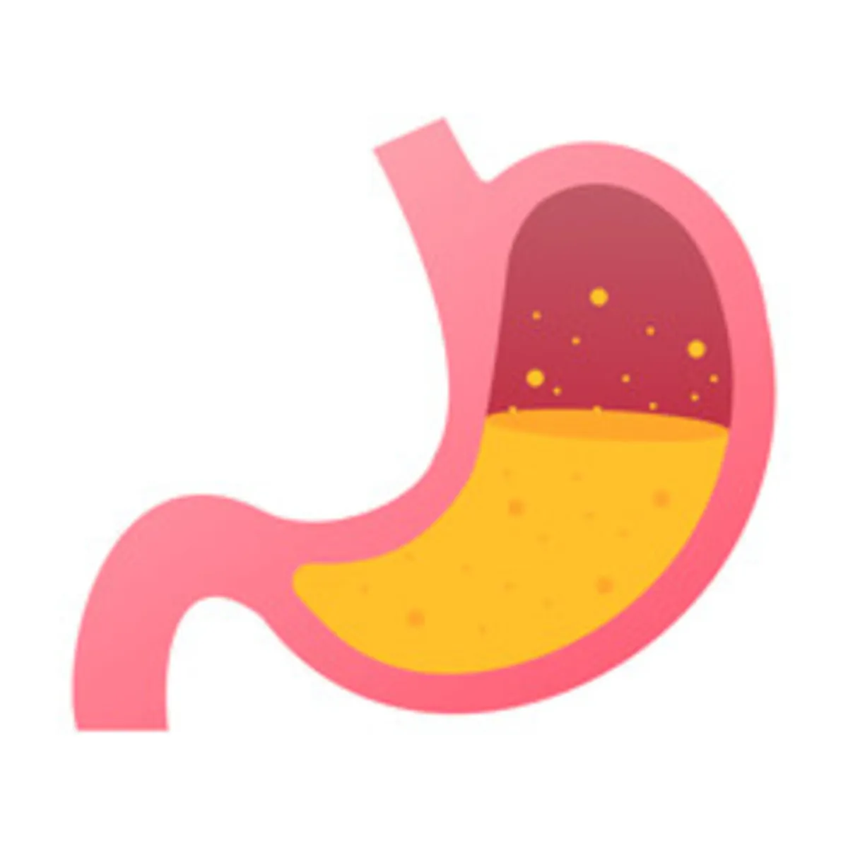 صورة للجهاز الهضمي العلوي للطفل