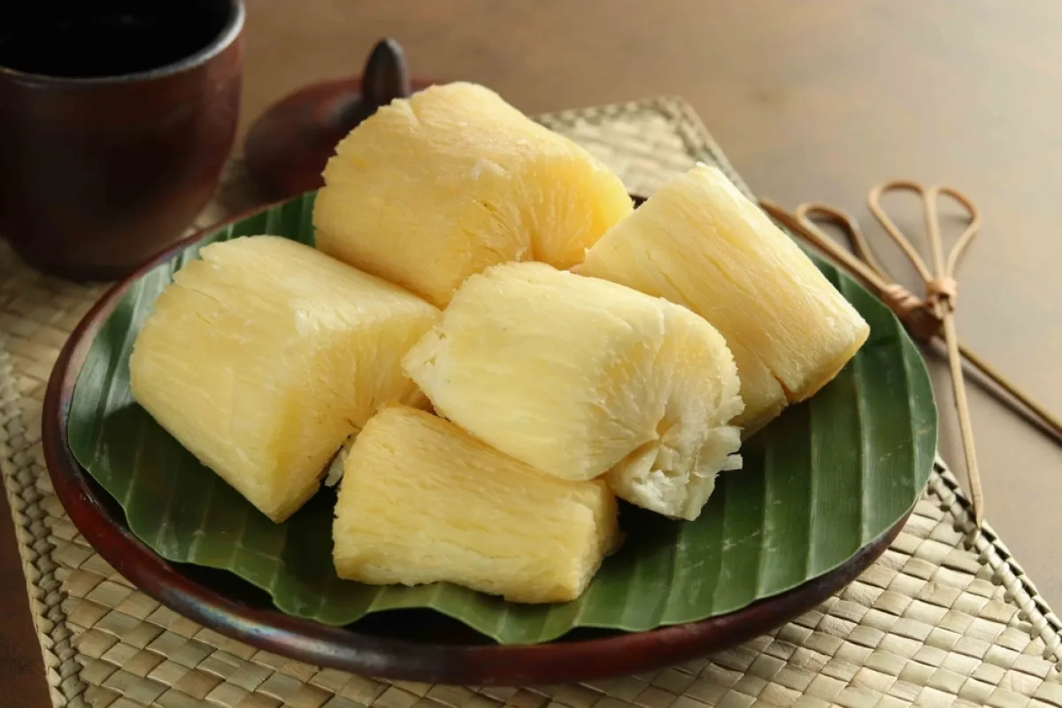 اكتشفي ما هي أهم فوائد نبات الكسافا الصحية للجسم