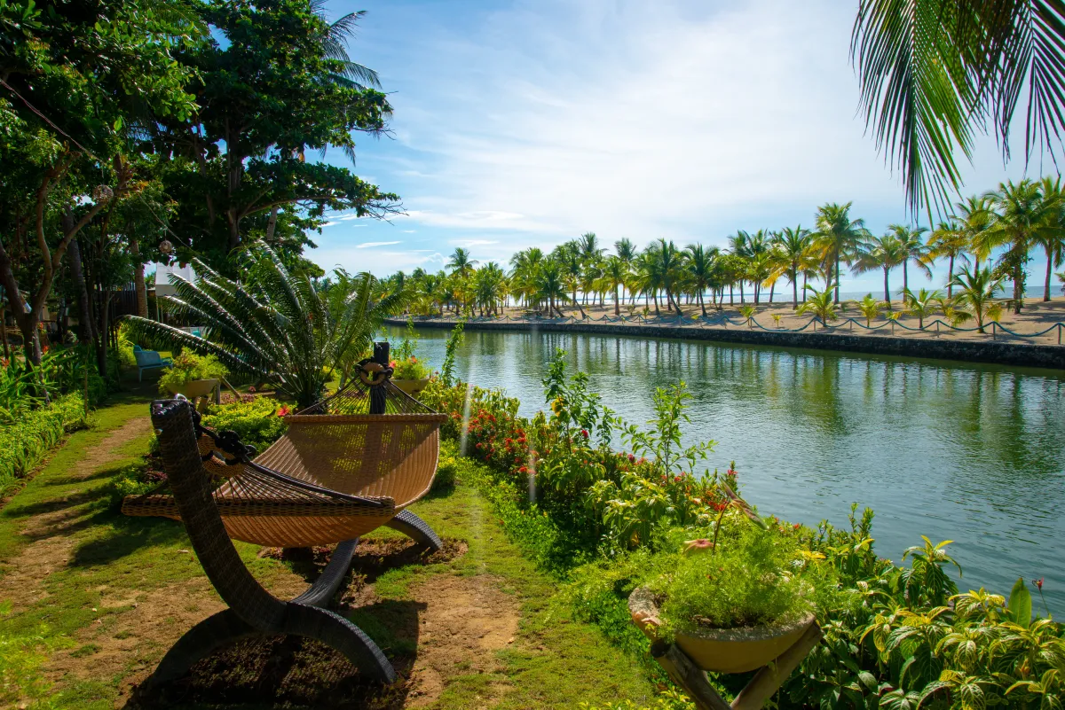 الاستمتاع بالأجواء الطبيعية الخلابة في ولاية كيرالا