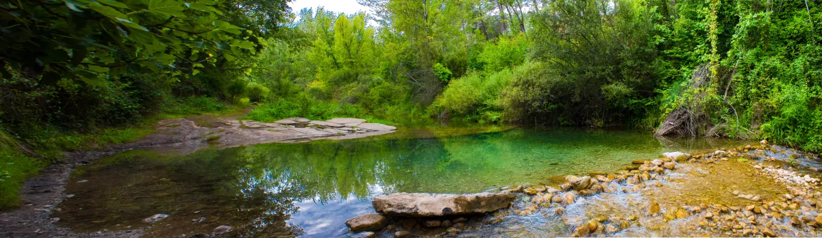 رحلة سياحية في ولاية كيرالا