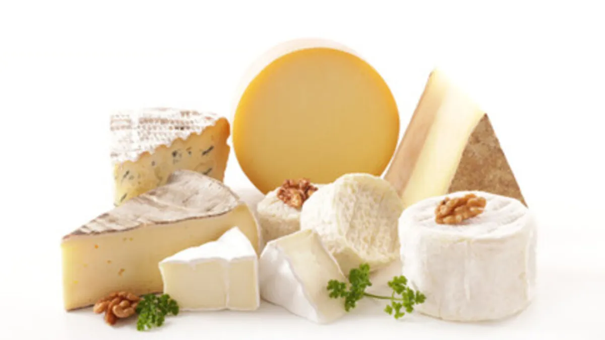 صورة لبعض أنواع الجبن