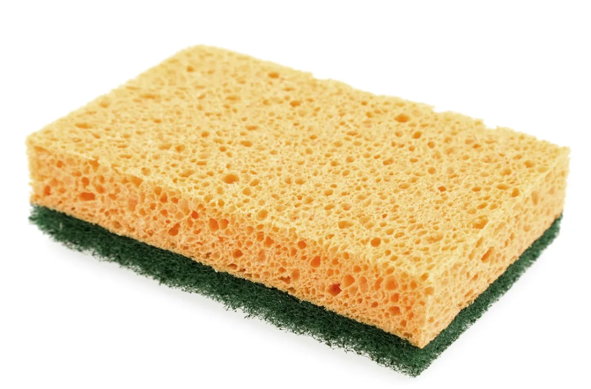 إسفنجة الجلي