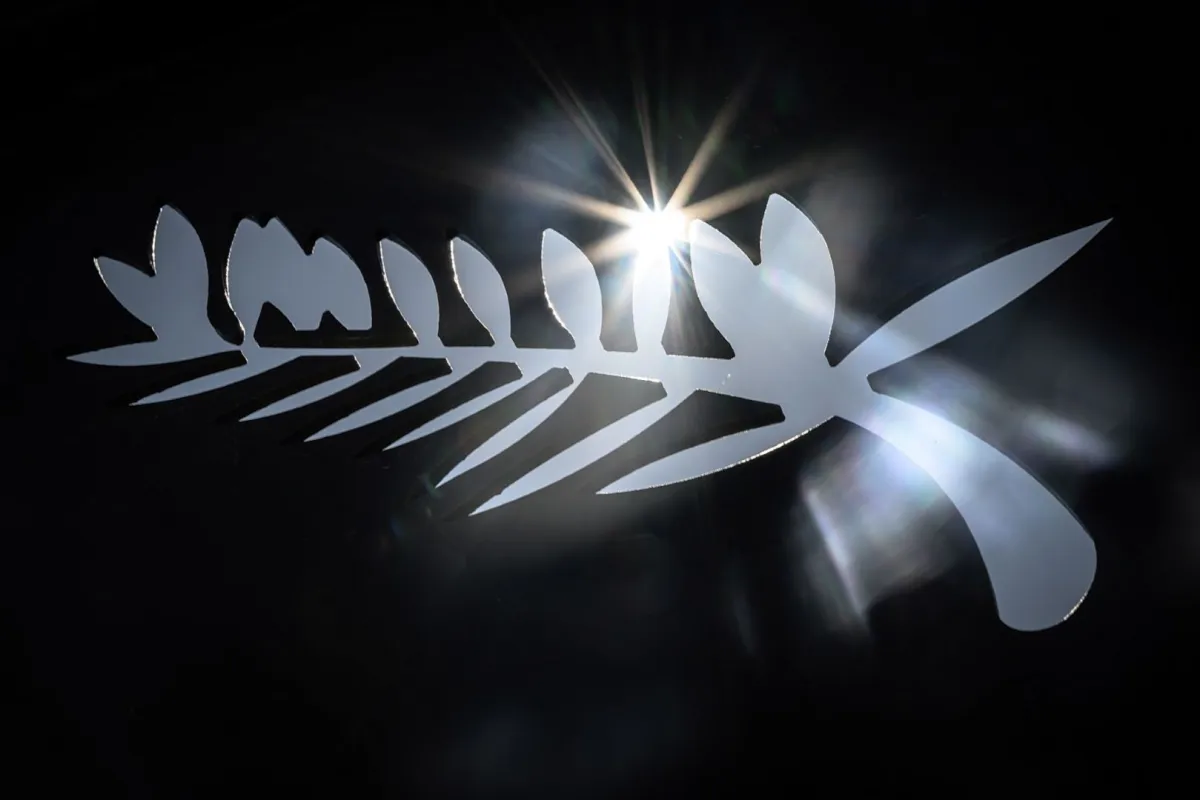 This photograph shows the logo of the Palme d'Or ahead of the 76th Cannes Film Festival in Cannes. (Photo by Loic VENANCE / AFP)