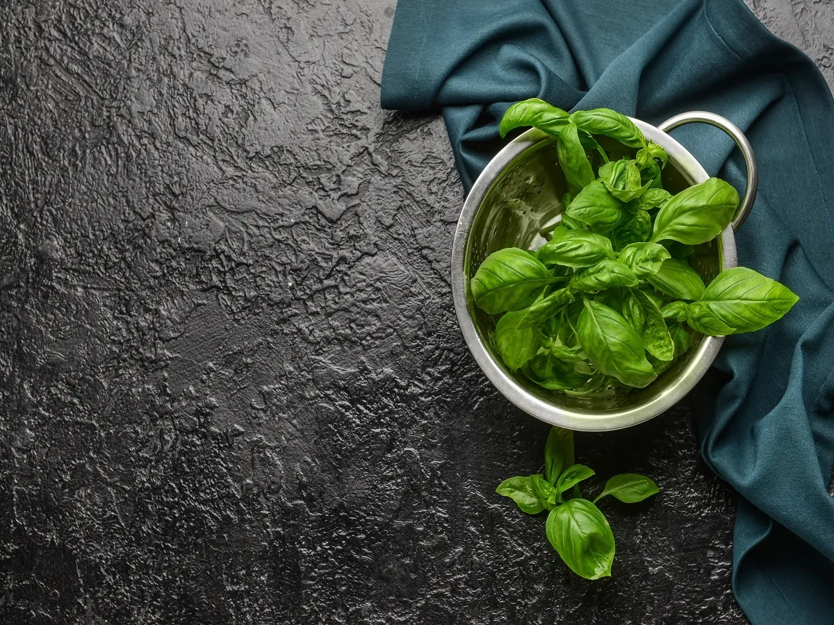 صورة لأوراق الريحان