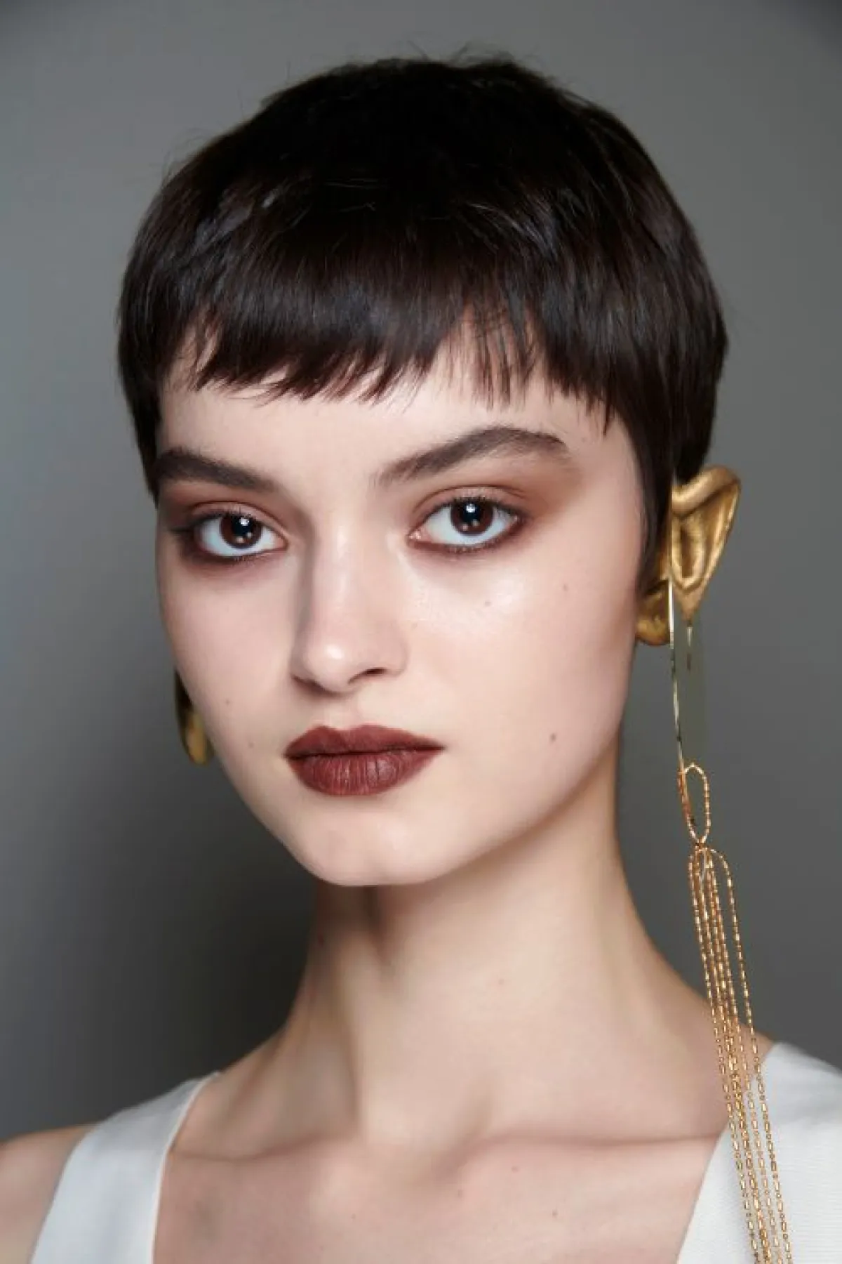 الغرة الأمامية