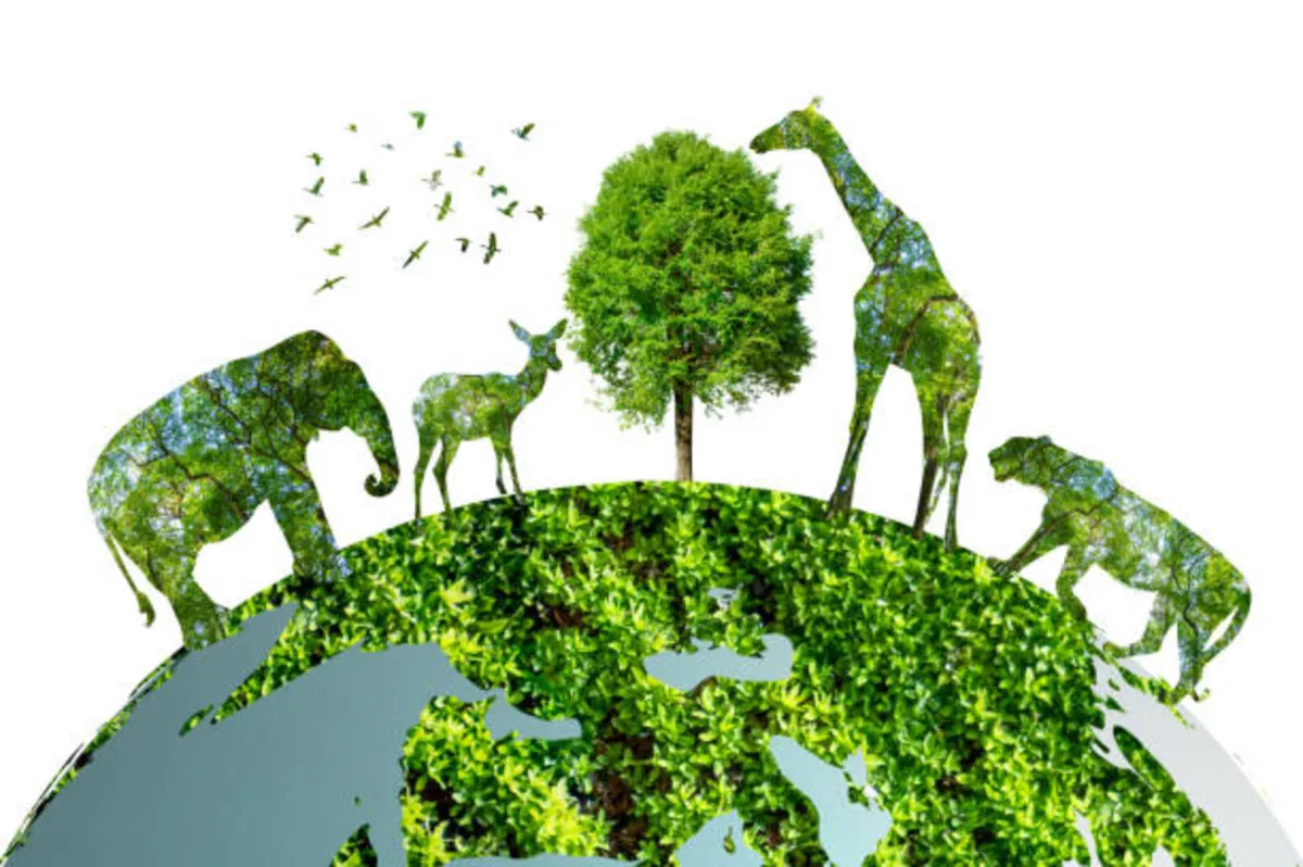 اليوم الدولي للتنوع البيولوجي بـ(الاتفاق إلى العمل)