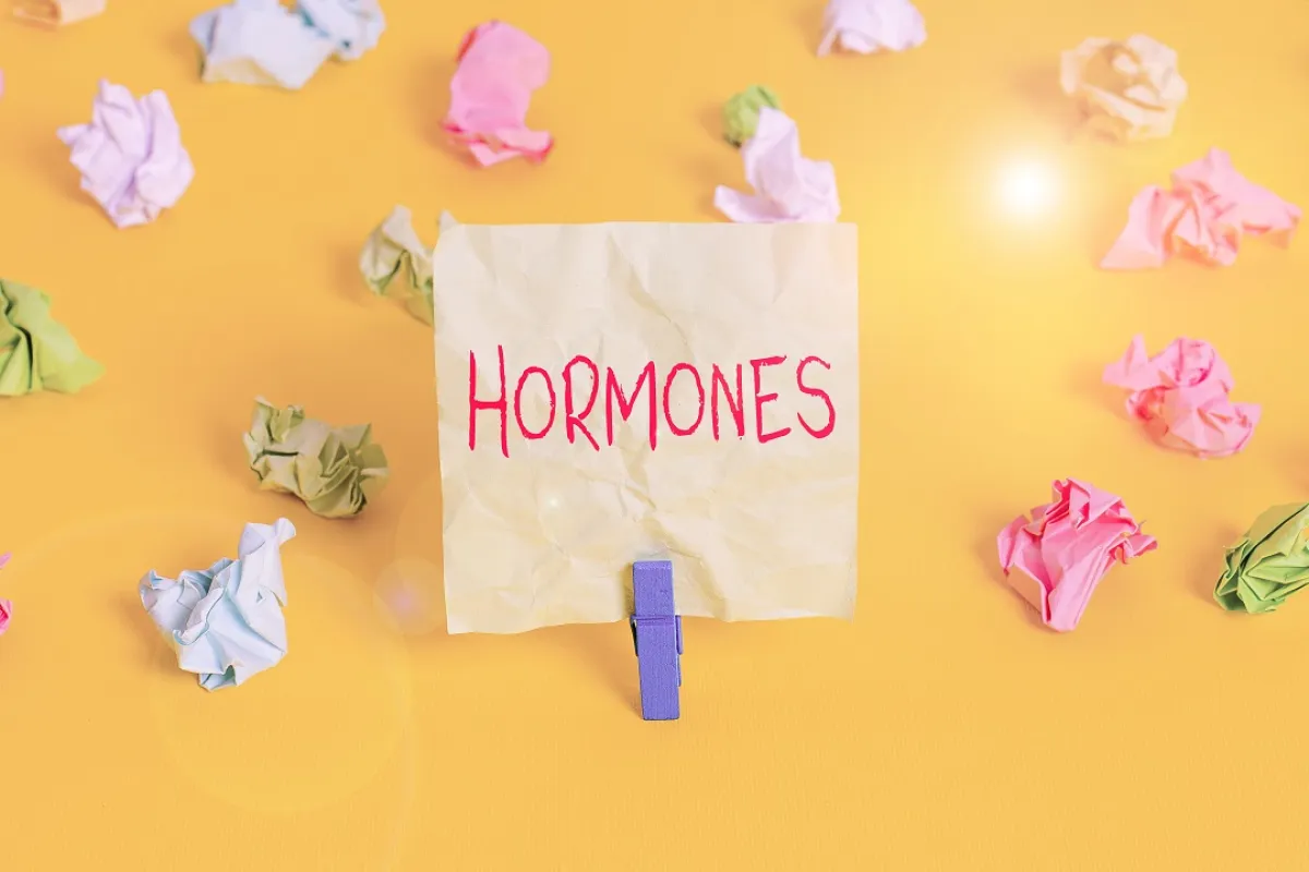 صورة تعبيرية عن هرمونات الحمل