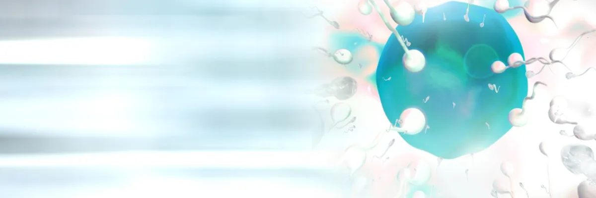 صورة لعملية التخصيب