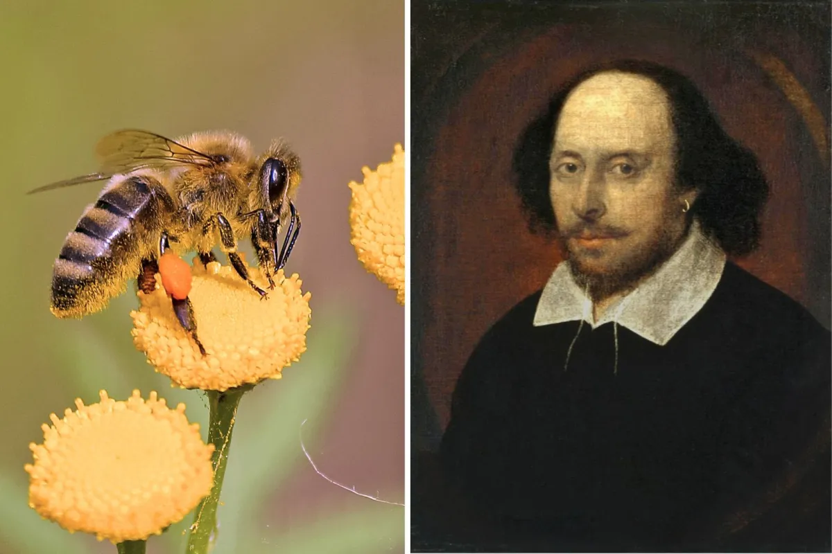  حكايات شكسبير مع النحل