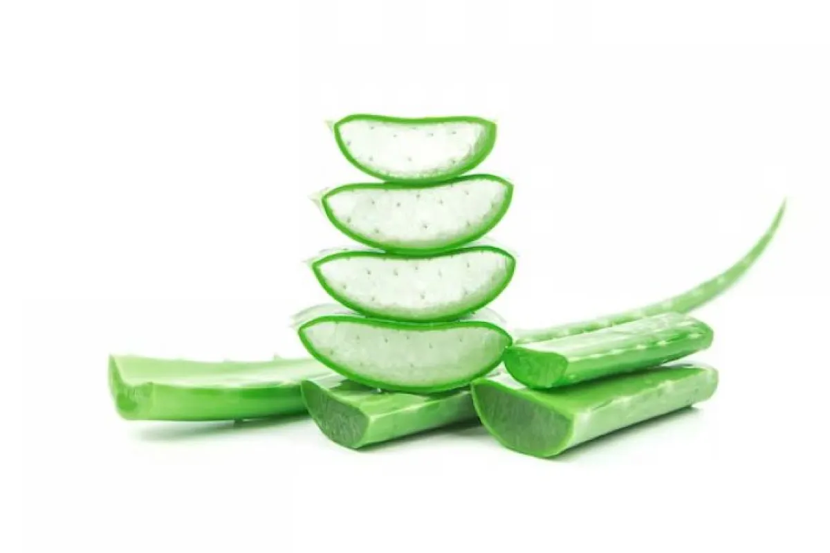 الألوفيرا لتبييض الرقبة