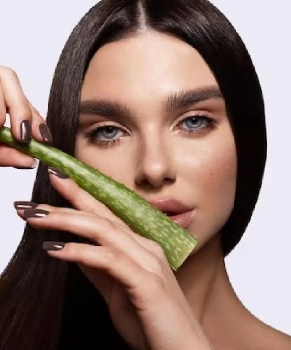 الألوفيرا مثالية للشعر