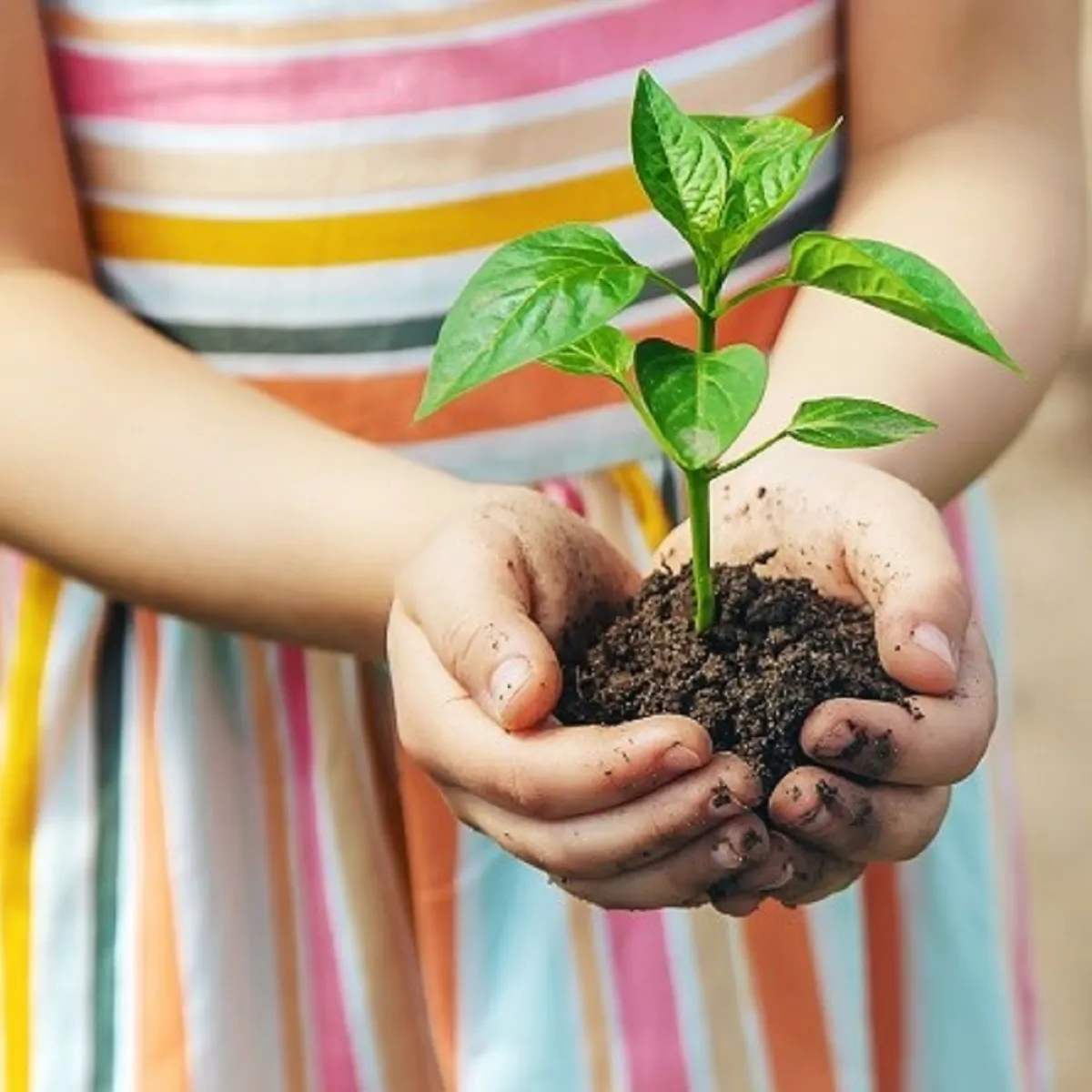 صورة لطفلة تمسك بنبتة