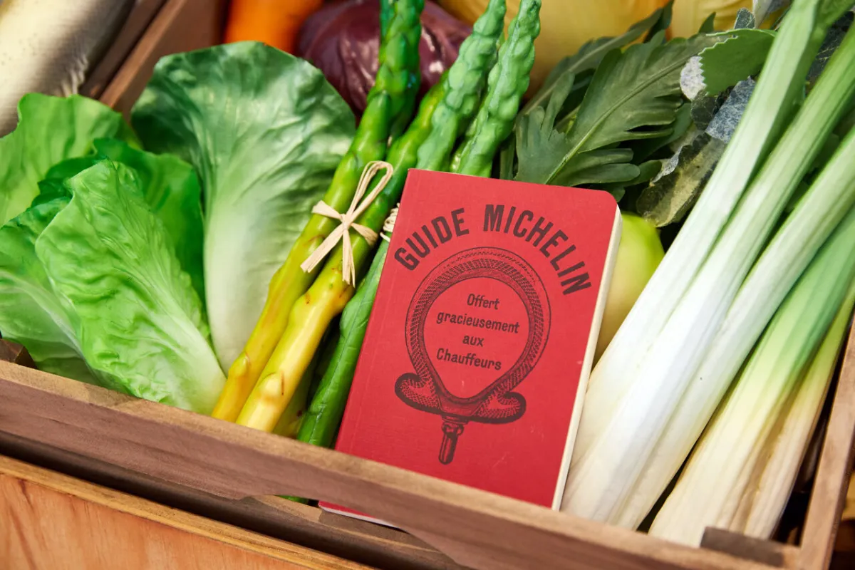 صورة تعبيرية عن البيئة