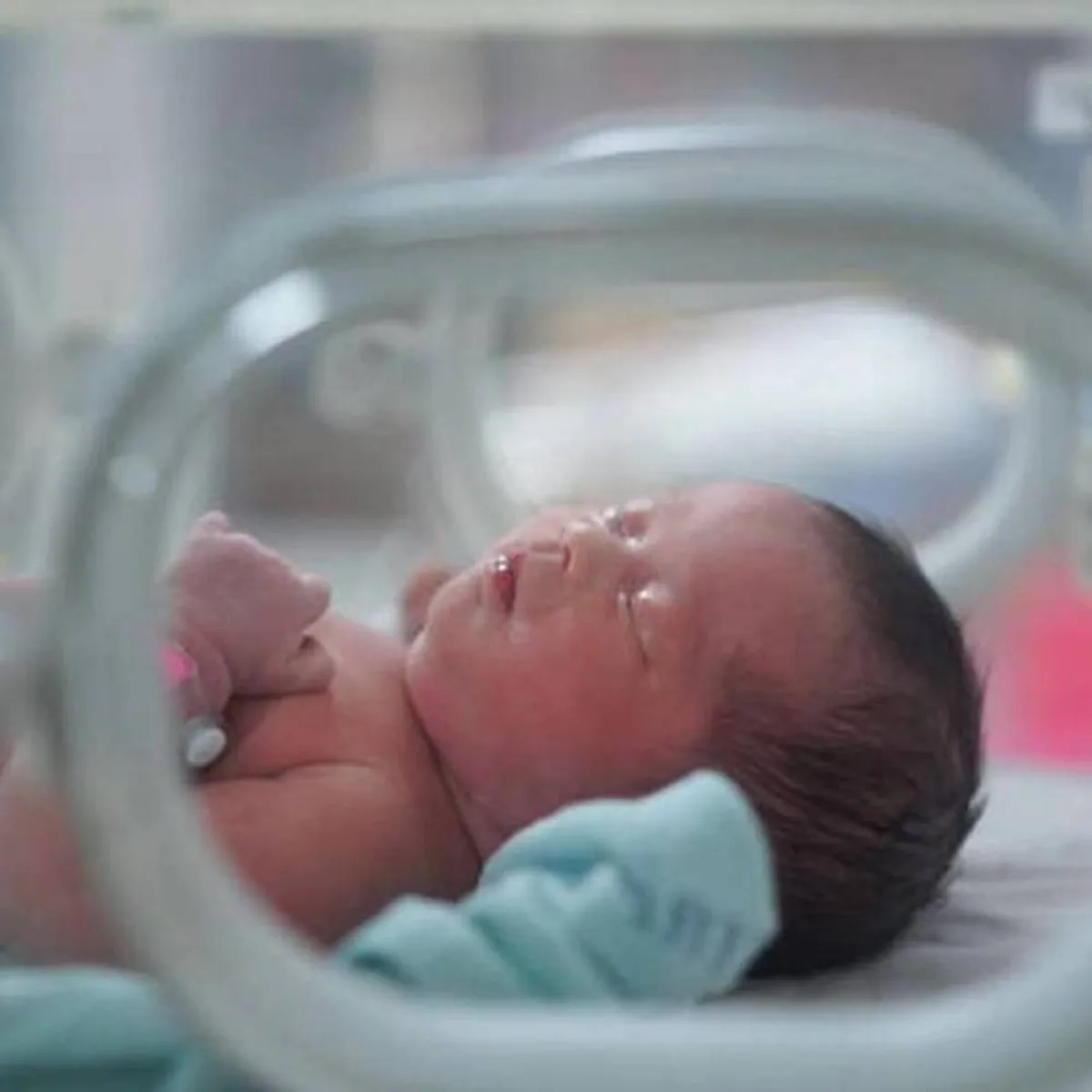 صورة لطفل بالحضانة