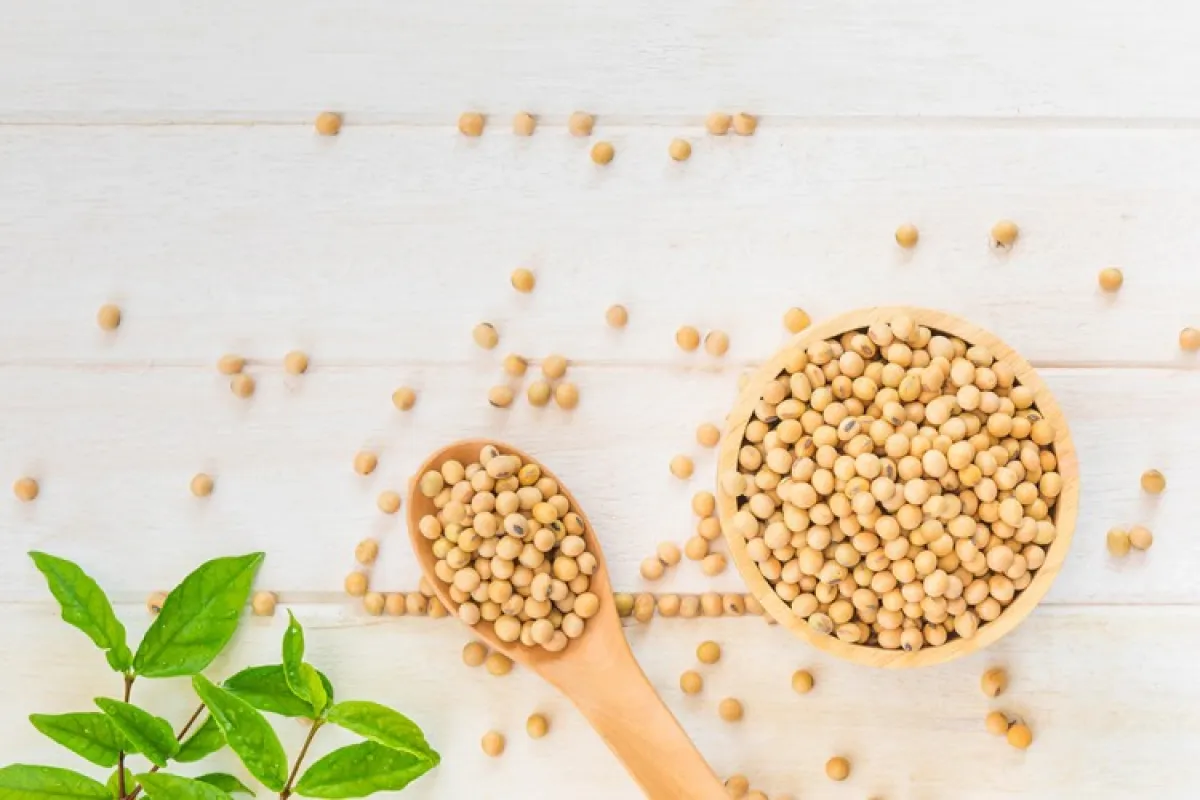 يقلّل فول الصويا من الإحساس بالشبع (مصدر الصورة Shutterstock)