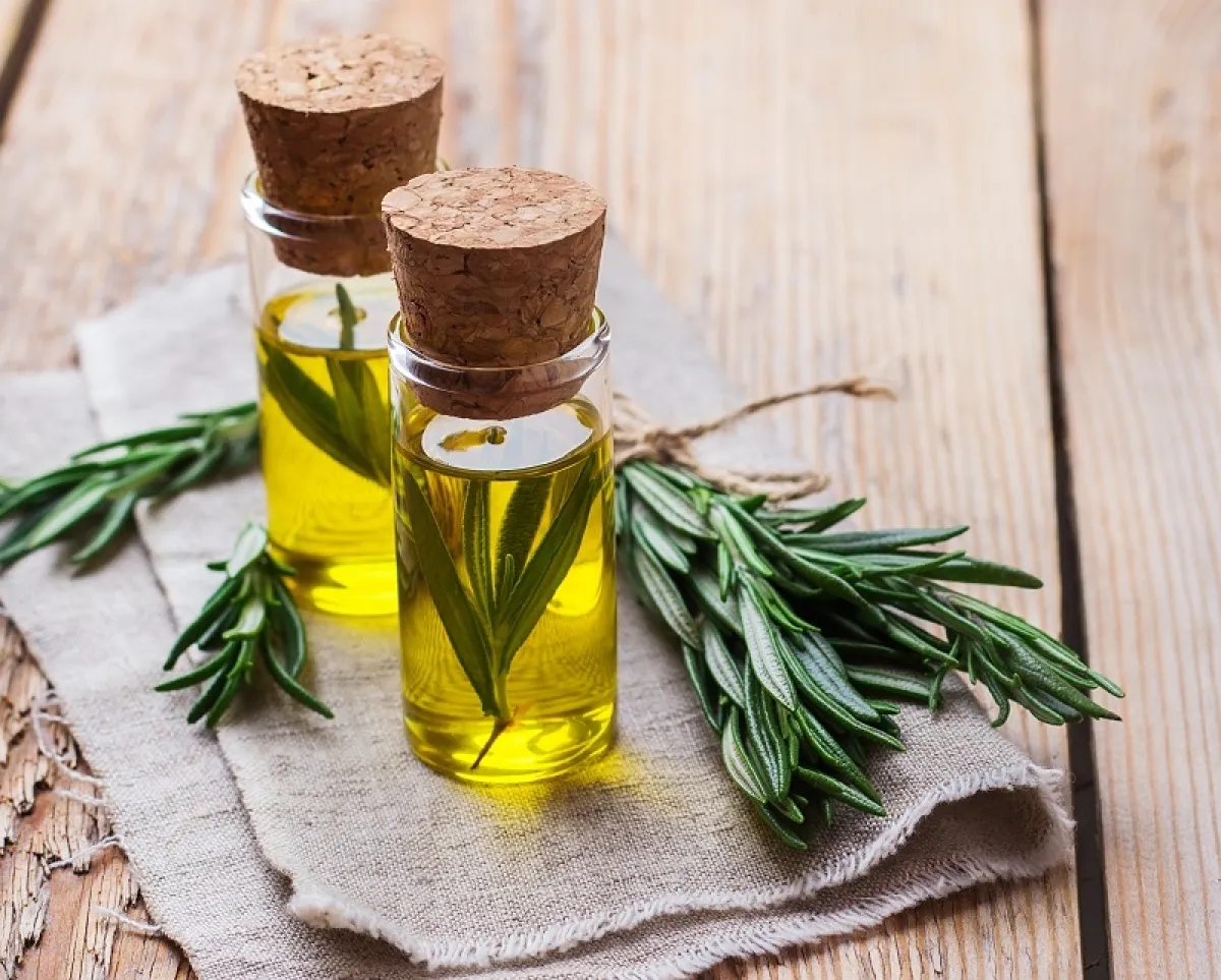 زيت إكليل الجبل للشعر