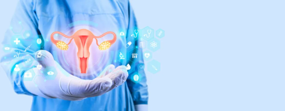 صورة تعبر عن انغراس البويضة وحدوث الحمل