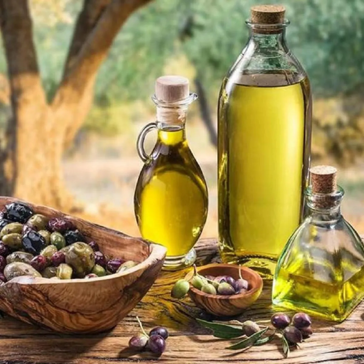 صورة تشكل الزيتون وزيت الزيتون