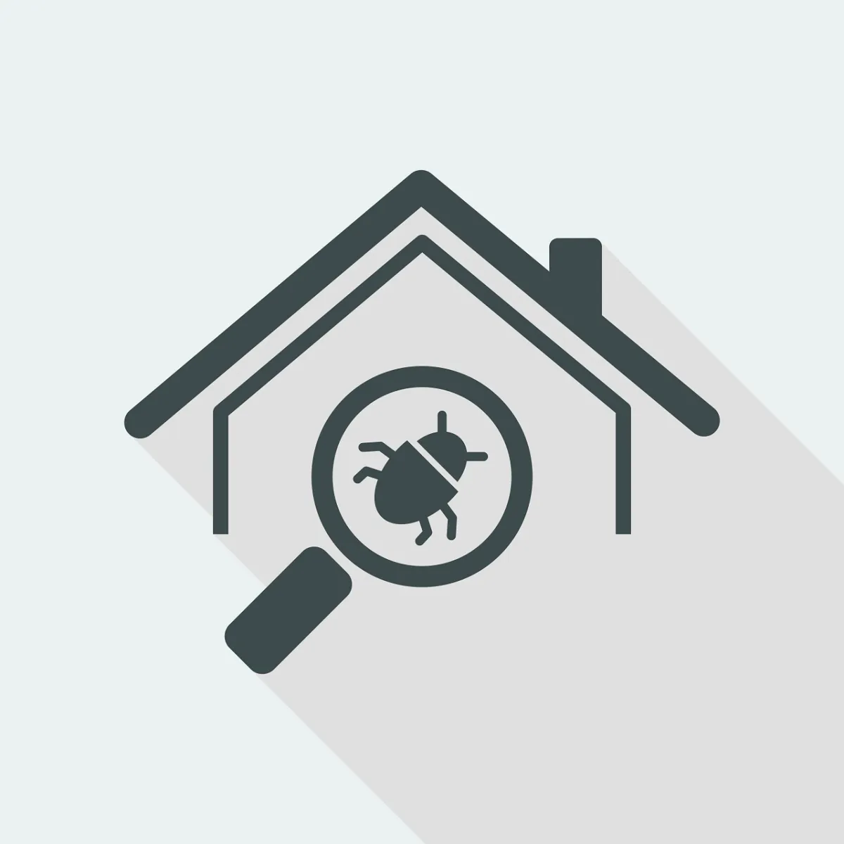 للخنفساء أنواع كثيرة الانتشار في المنزل