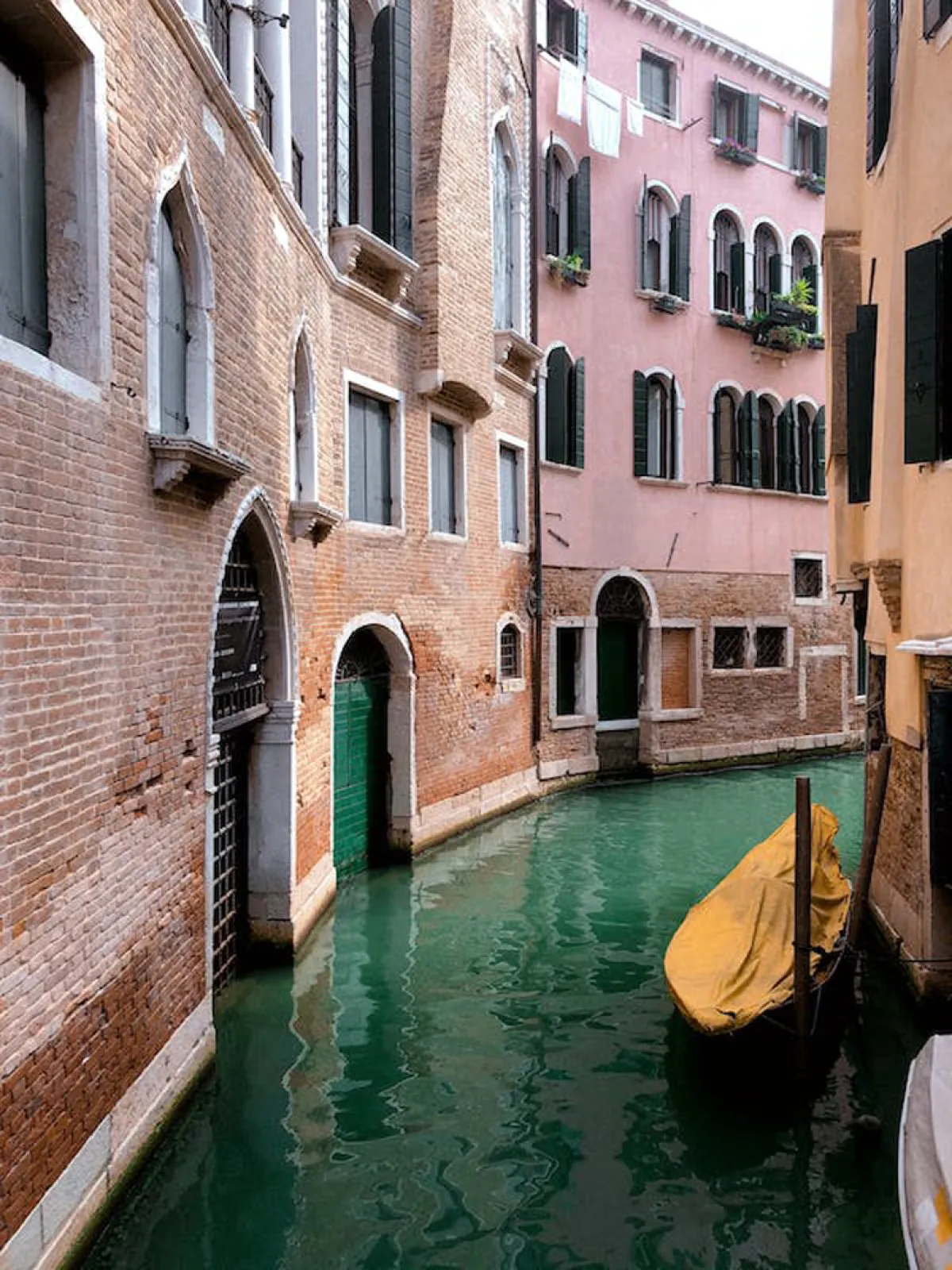 مياه قناة البندقية تصطبغ باللون الأخضر.