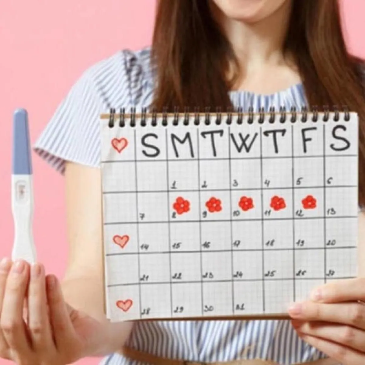 صورة تعبيرية لحساب أيام التبويض