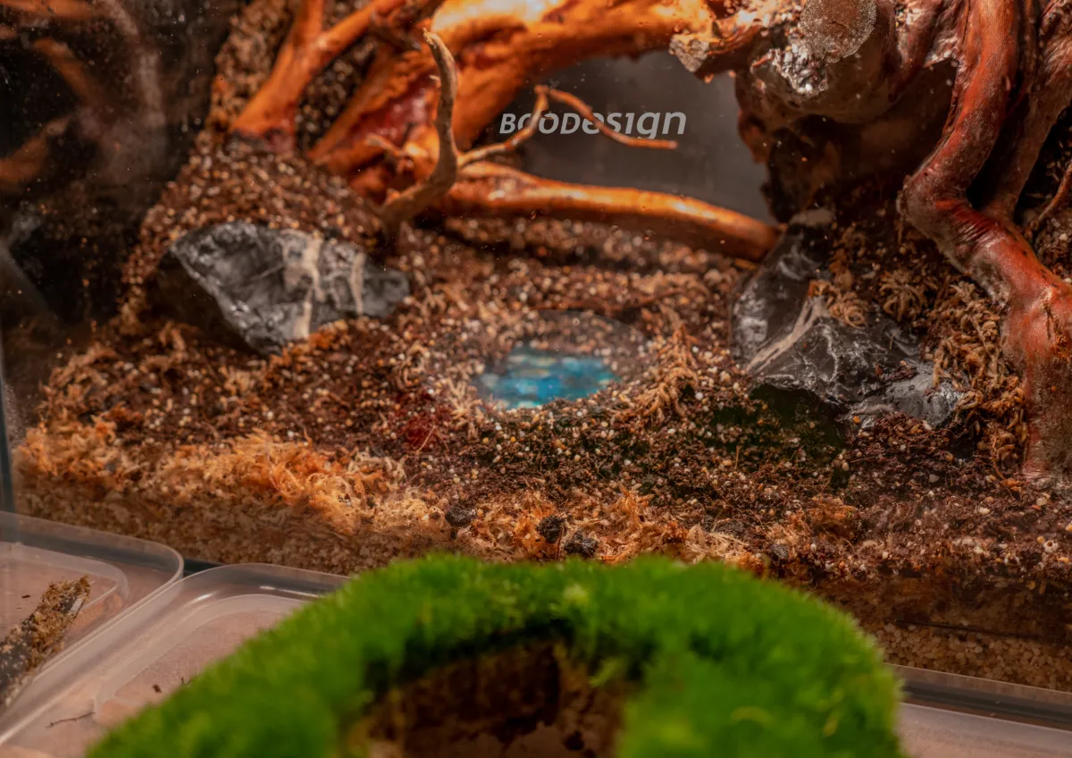 عمل للفنان عبدالله الصويان