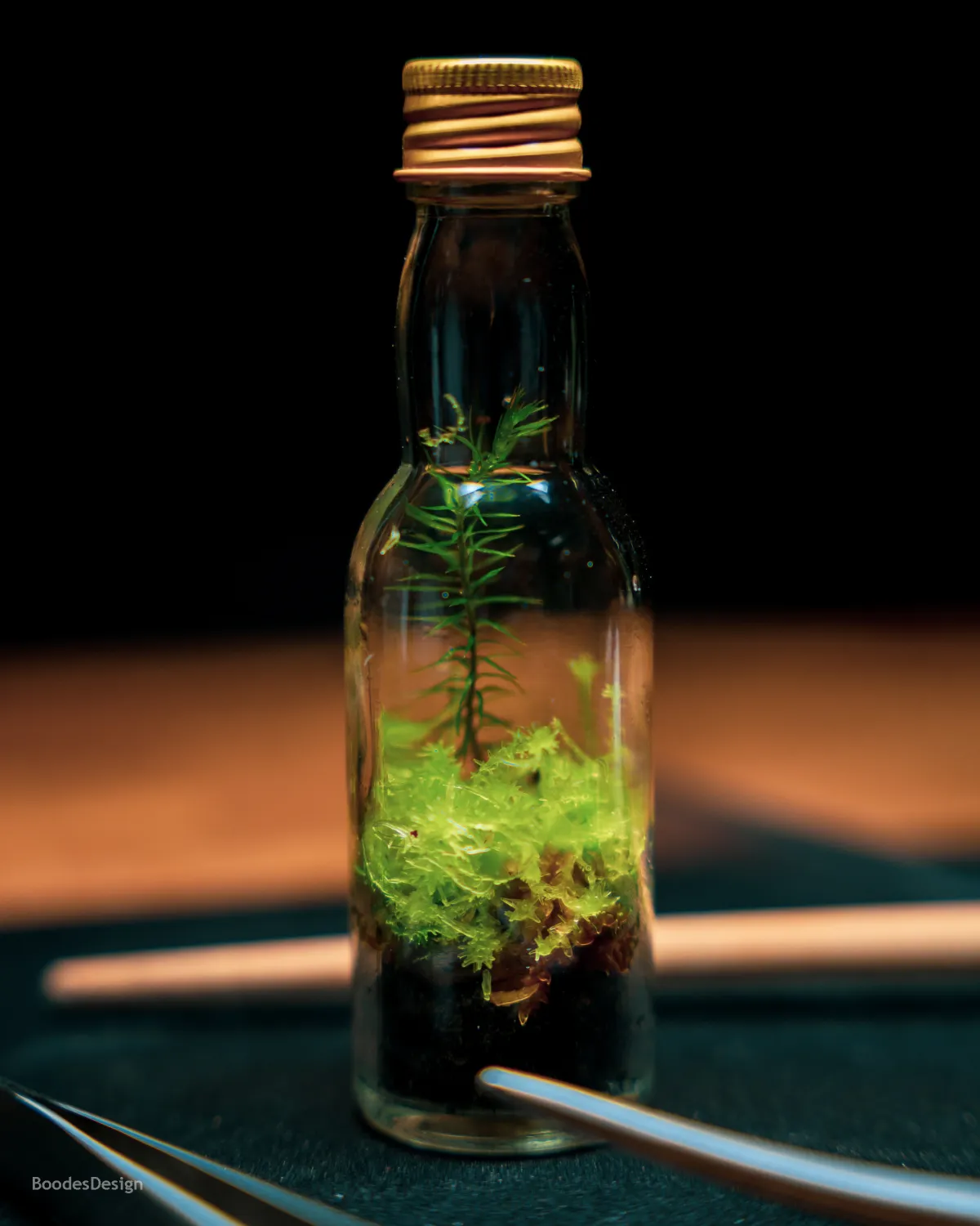 عمل للفنان عبدالله الصويان