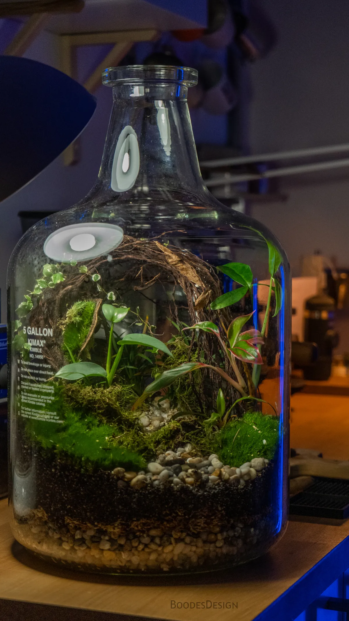 تظهر الصورة عمل عبدالله الصويان