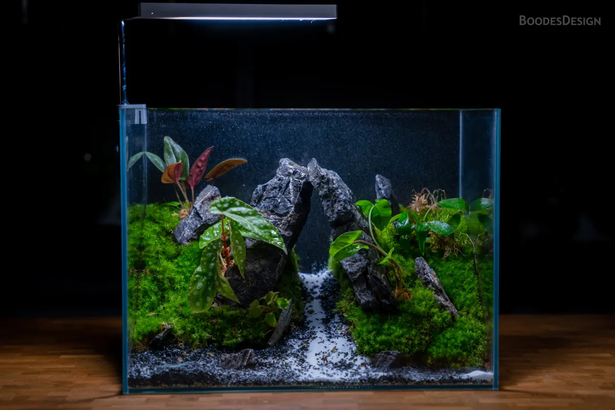 تظهر الصورة عمل عبدالله الصويان