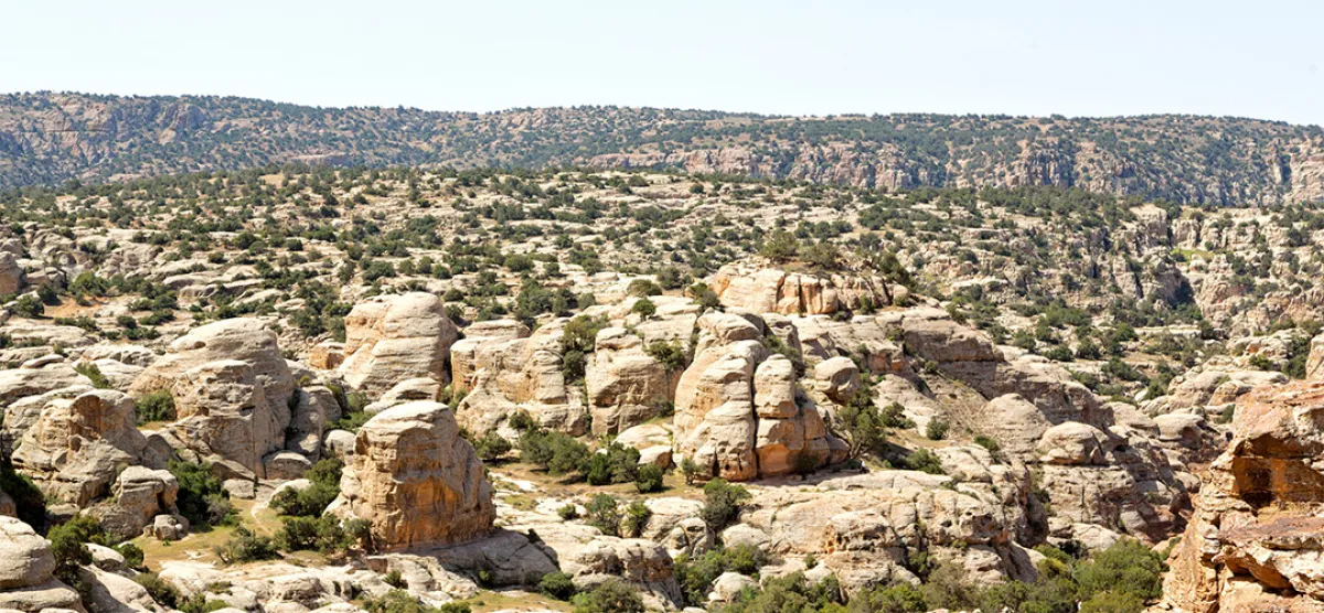 قوس هادريان