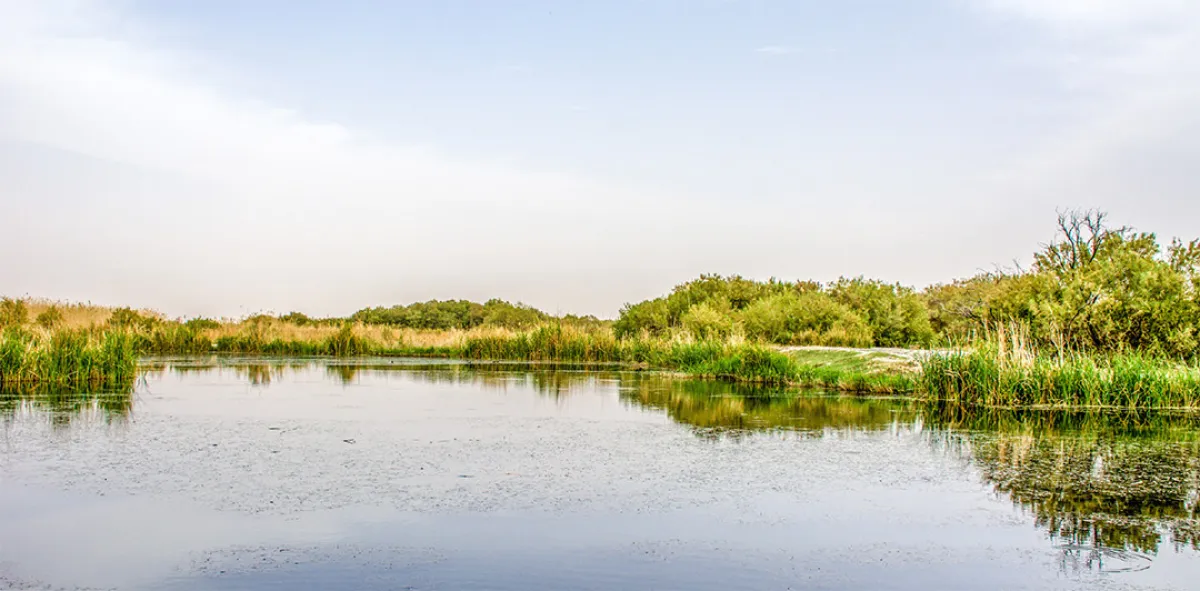 محمية ضانا الطبيعية 