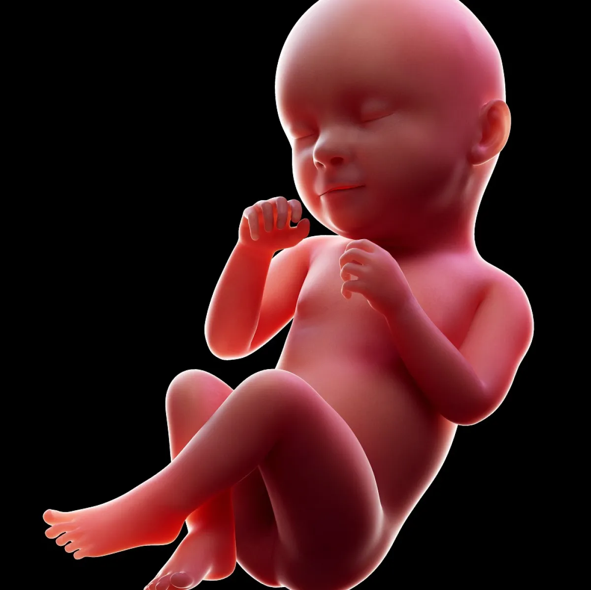 صورة للجنين في الشهر التاسع