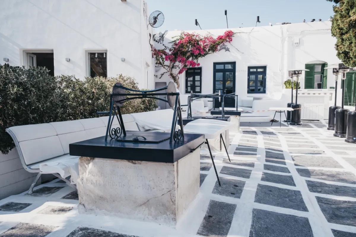 تريا بيجاديا