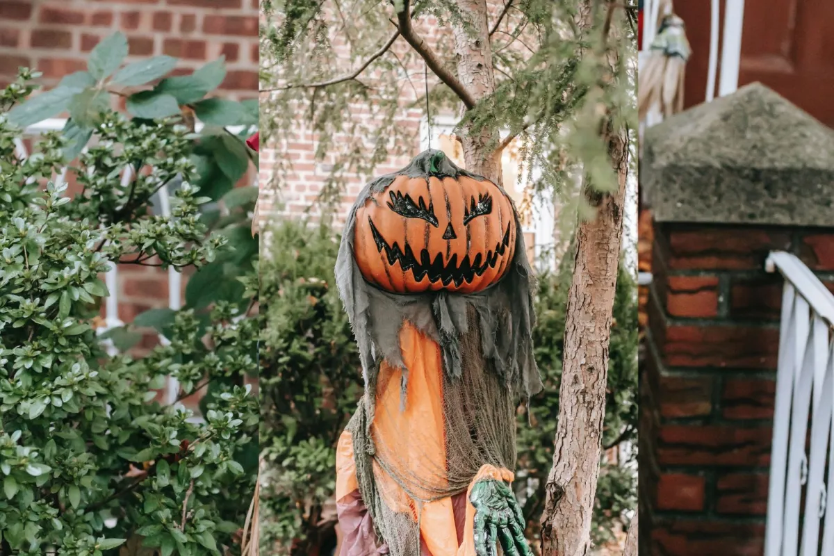 خيال المآتة