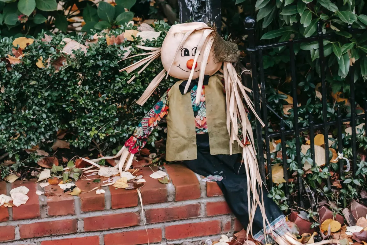 خيال المآتة