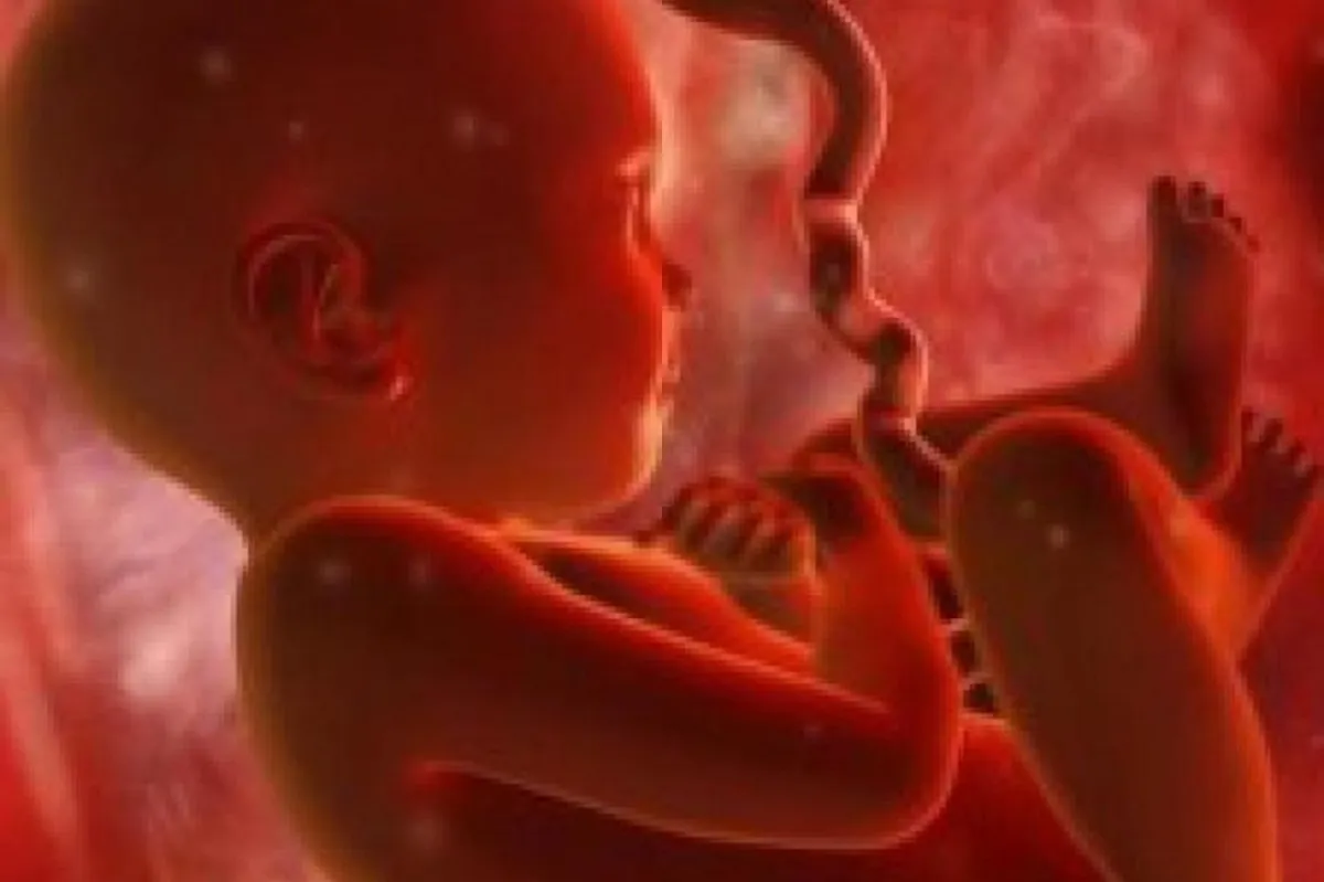  صورة لجنين داخل الرحم